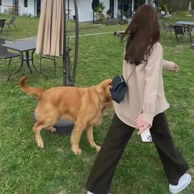 戴脚镣的女孩